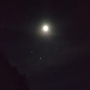 Meet your Posher, Wayne